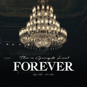 Yes Sir, No Sir - This Is Going To Last Forever (Vinyl)