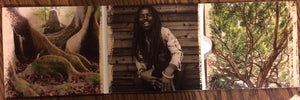 Rocky Dawuni : Branches Of The Same Tree (CD, Album, Gat)