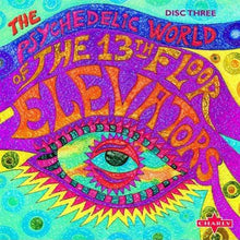 Load image into Gallery viewer, The 13th Floor Elevators* : The Psychedelic World Of The 13th Floor Elevators (3xCD, Comp, RM + Box)
