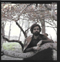 Load image into Gallery viewer, Felix Cavaliere : Destiny (CD, Album, RE)
