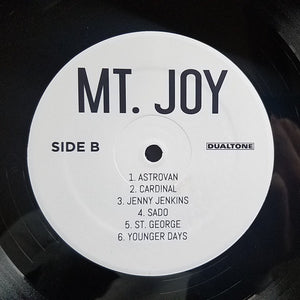 Mt. Joy : Mt. Joy (LP, Album)