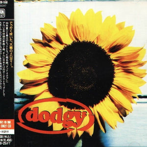 Dodgy : Good Enough (CD, Maxi)