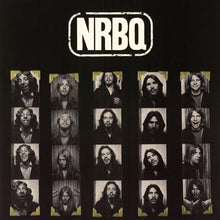Load image into Gallery viewer, NRBQ : NRBQ (LP, Album)
