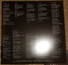 Load image into Gallery viewer, Mac DeMarco : Salad Days (LP, Album, RE, Gat)
