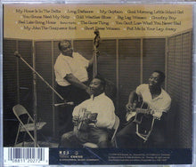 Load image into Gallery viewer, Muddy Waters : Folk Singer (CD, Album, RE, RM)
