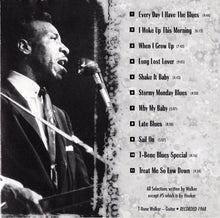 Load image into Gallery viewer, T-Bone Walker : Stormy Monday (CD, Comp, RM)
