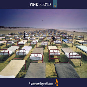 Pink Floyd : A Momentary Lapse Of Reason (CD, Album, RP)