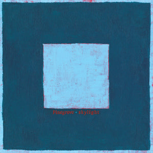 Pinegrove : Skylight (LP, Album)