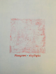 Pinegrove : Skylight (LP, Album)