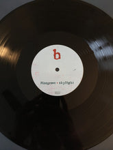 Load image into Gallery viewer, Pinegrove : Skylight (LP, Album)
