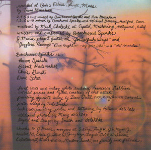 Beachwood Sparks : Once We Were Trees (CD, Album)