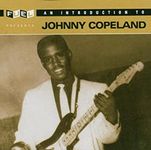 Load image into Gallery viewer, Johnny Copeland : Fuel Presents An Introduction To Johnny Copeland (CD, Comp)
