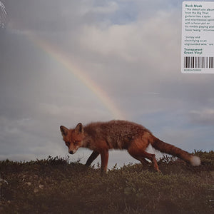 Buck Meek : Buck Meek (LP, Album, Ltd, RE, Gre)