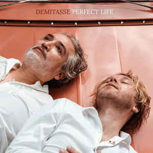 Demitasse : Perfect Life (CDr, Album)