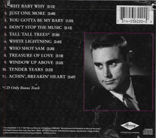 Load image into Gallery viewer, George Jones (2) : The Hits (CD, Comp)
