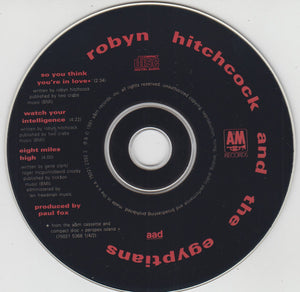 Robyn Hitchcock And The Egyptians* : So You Think You're In Love (CD, Single)