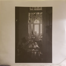 Load image into Gallery viewer, Buck Meek : Two Saviors (LP, Album, Ltd, Cle)
