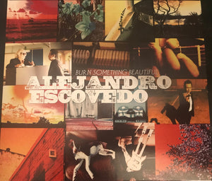 Alejandro Escovedo : Burn Something Beautiful (CD, Album)