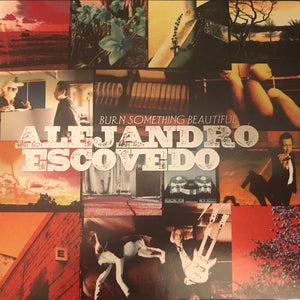 Alejandro Escovedo : Burn Something Beautiful (CD, Album)