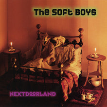 Load image into Gallery viewer, The Soft Boys : Nextdoorland (CD, Album)
