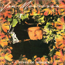 Load image into Gallery viewer, Van Morrison : A Sense Of Wonder (CD, Album)
