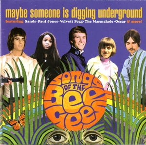 Various : Maybe Someone Is Digging Underground - The Songs Of The Bee Gees (CD, Comp, MP)