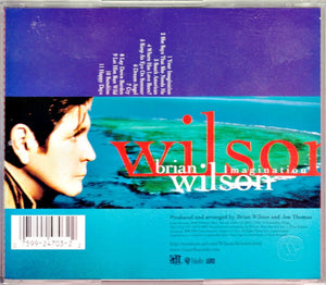 Brian Wilson : Imagination (CD, Album)