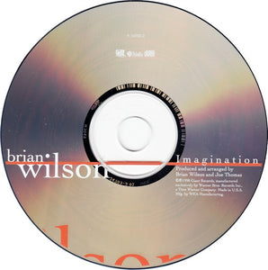 Brian Wilson : Imagination (CD, Album)