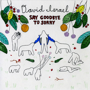 David Israel : Say Goodbye To Sorry (LP, Album)