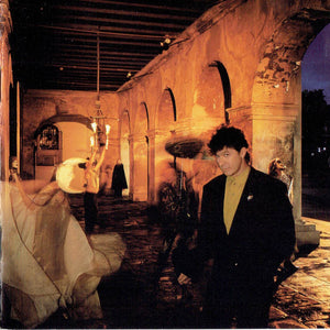 Robbie Robertson : Storyville (CD, Album)