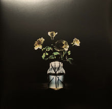 Load image into Gallery viewer, Billy Strings : Renewal (2xLP, Album)

