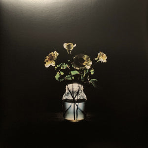 Billy Strings : Renewal (2xLP, Album)