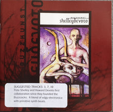 Load image into Gallery viewer, ShelleyDevoto : Buzzkunst (CD, Advance, Album, Enh, Promo)
