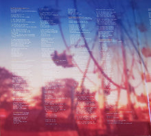 Load image into Gallery viewer, Robert Plant, Alison Krauss : Raise the Roof (2xLP, Album)
