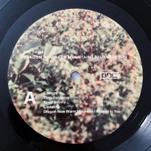 Load image into Gallery viewer, Big Thief : Dragon New Warm Mountain I Believe In You (2xLP, Album)
