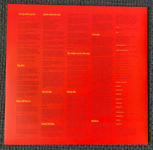 Load image into Gallery viewer, Fontaines D.C. : Skinty Fia (LP, Album)
