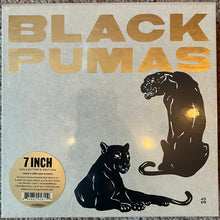 Load image into Gallery viewer, Black Pumas : Black Pumas (6x7&quot;, Album, Ltd + Box, RSD, Ltd)
