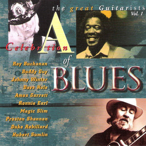 Various : A Celebration Of Blues - The Great Guitarists Vol. 1 (CD, Comp)