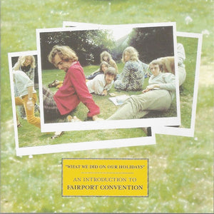 Fairport Convention : "What We Did On Our Holidays" - An Introduction To Fairport Convention (CD, Comp)