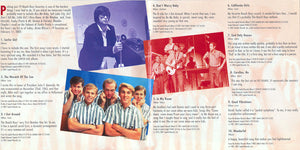 The Beach Boys : Classics Selected By Brian Wilson (HDCD, Comp)