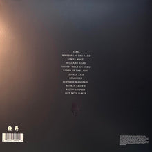 Load image into Gallery viewer, Mumford &amp; Sons : Babel (LP, Album, RE, Cre)
