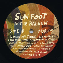 Load image into Gallery viewer, Sun Foot : In the Baleen (LP, Album)
