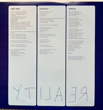 Load image into Gallery viewer, Bill Callahan : YTI⅃AƎЯ (2xLP, Album, 200)
