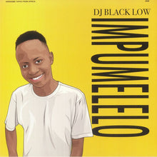 Load image into Gallery viewer, DJ Black Low : Impumelelo (2xLP, Album)
