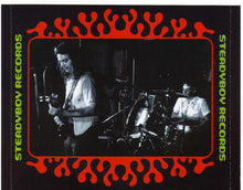 Load image into Gallery viewer, Roky Erickson And The Explosives : Halloween (CD, Album)
