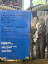 Load image into Gallery viewer, Muddy Waters : Hollywood Blues Summit (Live At The Ash Grove July 30, 1971) (LP, Album, RSD, Ltd)
