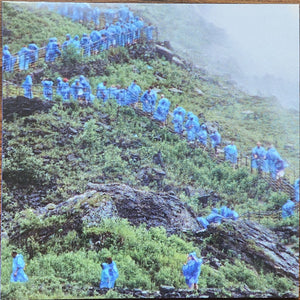 Courtney Barnett : End Of The Day (Music From The Film Anonymous Club) (LP, Album, Cok)