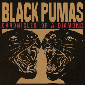 Black Pumas : Chronicles Of A Diamond (CD, Album)