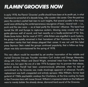 Flamin' Groovies* : Now (CD, Album, RE)