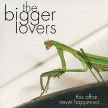 Load image into Gallery viewer, The Bigger Lovers : This Affair Never Happened... And Here Are Eleven Songs About It (CD, Album)
